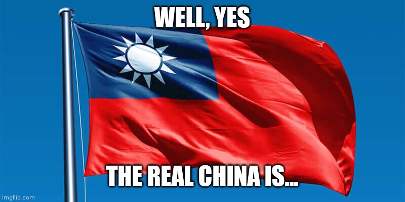 Taiwanese Flag | WELL, YES THE REAL CHINA IS... | image tagged in taiwanese flag | made w/ Imgflip meme maker