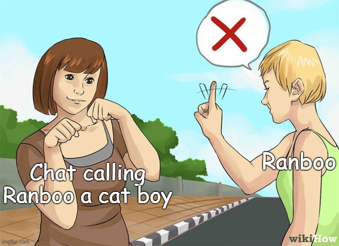 Cat boy | Ranboo; Chat calling Ranboo a cat boy | image tagged in ranboo,minecraft,mcyt,wikihow | made w/ Imgflip meme maker