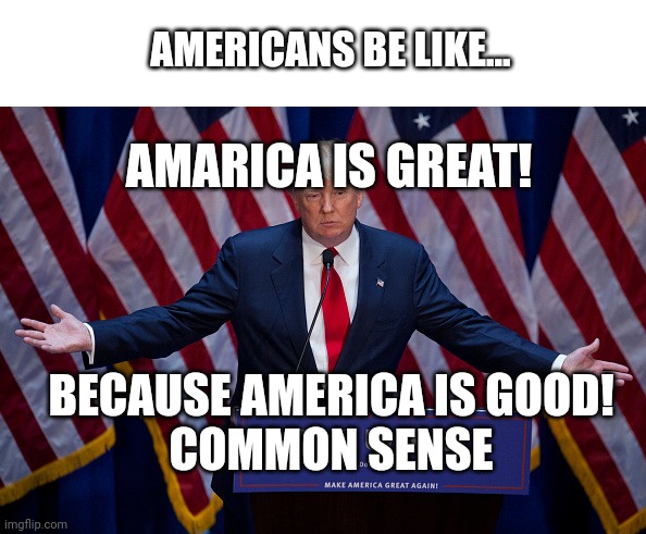 Donald Trump | AMERICANS BE LIKE... AMARICA IS GREAT! BECAUSE AMERICA IS GOOD!
COMMON SENSE | image tagged in donald trump | made w/ Imgflip meme maker