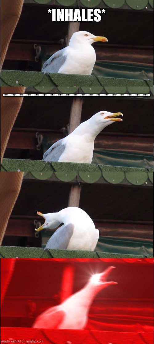 Correct. | *INHALES*; AAAAAAAAAAAAAAAAAAAAAAAAAAAAAAAAAAAAAAAAAAAAAAAAAAAAAAAAAAAAAAAAAAAAAAAAAAAAAAAAAAAAAAAAAAAAAAAAAAAAAAAAAAAAAAAAAAAAAAAAAAAAAAAA | image tagged in memes,inhaling seagull | made w/ Imgflip meme maker