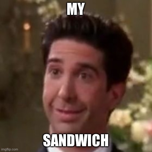 Ross Geller Friends | MY; SANDWICH | image tagged in ross geller friends | made w/ Imgflip meme maker