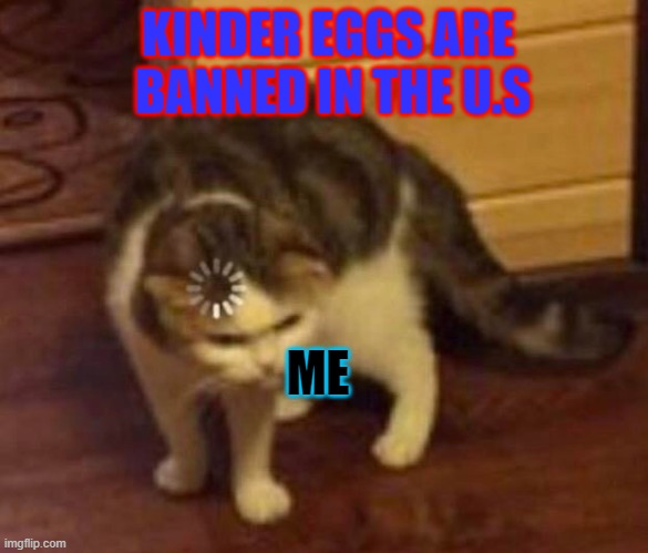 Thinking Cat | KINDER EGGS ARE
 BANNED IN THE U.S; ME | image tagged in thinking cat | made w/ Imgflip meme maker