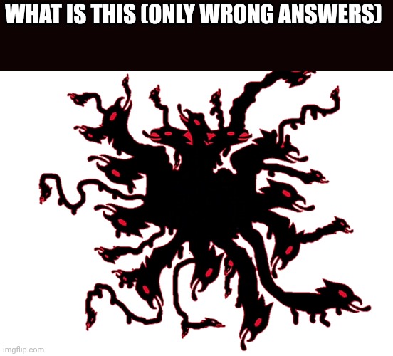 Albanian monster | WHAT IS THIS (ONLY WRONG ANSWERS) | made w/ Imgflip meme maker