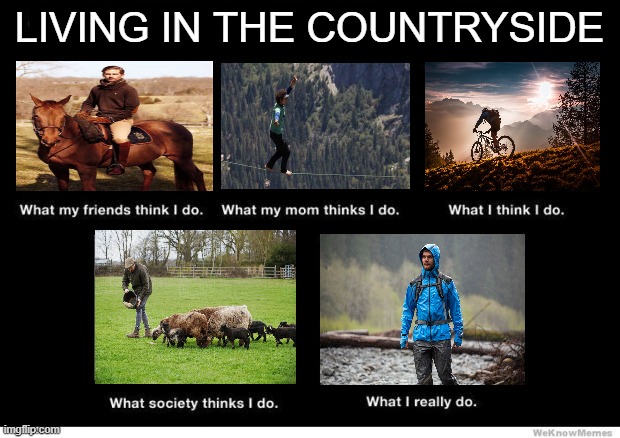What I really do |  LIVING IN THE COUNTRYSIDE | image tagged in what i really do | made w/ Imgflip meme maker