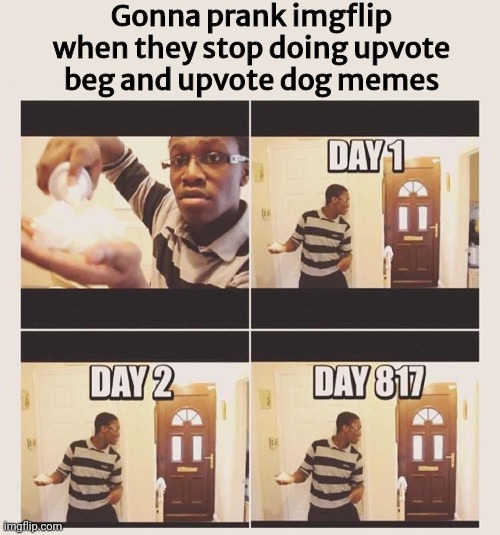 gonna prank x when he/she gets home | Gonna prank imgflip when they stop doing upvote beg and upvote dog memes | image tagged in gonna prank x when he/she gets home | made w/ Imgflip meme maker