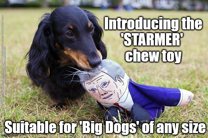 'STARMER' chew toy | Introducing the
'STARMER' 
chew toy; #Starmerout #GetStarmerOut #Labour #JonLansman #wearecorbyn #KeirStarmer #DianeAbbott #McDonnell #cultofcorbyn #labourisdead #Momentum #labourracism #socialistsunday #nevervotelabour #socialistanyday #Antisemitism #BigDog; Suitable for 'Big Dogs' of any size | image tagged in starmerout,getstarmerout,labourisdead,partygate,suegrayreport,cultofcorbyn | made w/ Imgflip meme maker