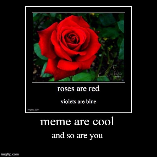 (: | meme are cool; and so are you | image tagged in demotivational | made w/ Imgflip meme maker