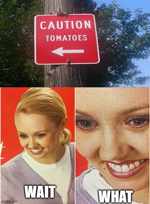 What's wrong with tomatoes?? | WHAT; WAIT | image tagged in wait what,memes,funny,sign fail | made w/ Imgflip meme maker