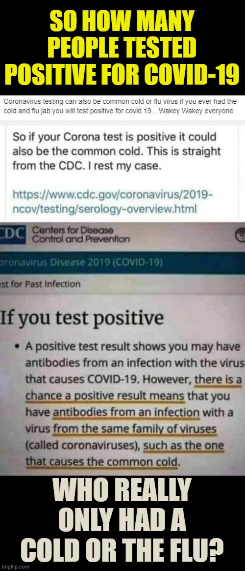 So What Do You Think? |  SO HOW MANY PEOPLE TESTED POSITIVE FOR COVID-19; WHO REALLY ONLY HAD A COLD OR THE FLU? | image tagged in memes,politics,cdc,covid-19,tests,thanks for nothing | made w/ Imgflip meme maker