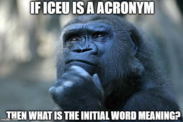 just a question | IF ICEU IS A ACRONYM; THEN WHAT IS THE INITIAL WORD MEANING? | image tagged in deep thoughts,iceu | made w/ Imgflip meme maker