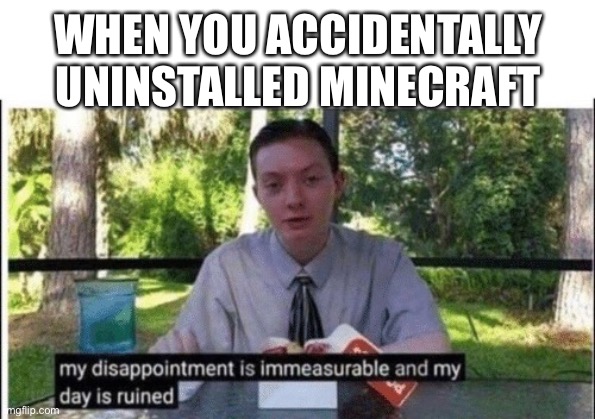 This happened to me lol | WHEN YOU ACCIDENTALLY UNINSTALLED MINECRAFT | image tagged in my dissapointment is immeasurable and my day is ruined,memes,so true,funny,minecraft | made w/ Imgflip meme maker