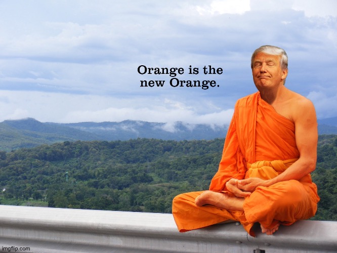 Orange is the new orange | image tagged in orange is the new orange | made w/ Imgflip meme maker