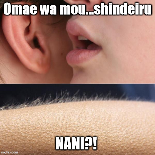 A woman of quality | Omae wa mou...shindeiru; NANI?! | image tagged in whisper and goosebumps | made w/ Imgflip meme maker