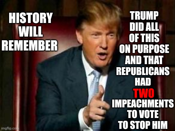 Donaldolf Hitletrump | TRUMP DID ALL OF THIS ON PURPOSE AND THAT; HISTORY WILL REMEMBER; REPUBLICANS HAD TWO IMPEACHMENTS TO VOTE TO STOP HIM; TWO | image tagged in donald trump,memes,traitor,liar,loser,lock him up | made w/ Imgflip meme maker