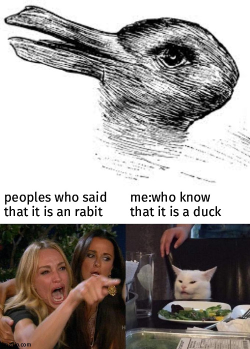 duck or rabit? | peoples who said that it is an rabit; me:who know that it is a duck | image tagged in memes,woman yelling at cat | made w/ Imgflip meme maker