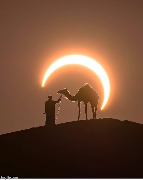 Eclipse Photo by: Joshua Cripps Photography | image tagged in solar eclipse,camel,awesome,photography | made w/ Imgflip meme maker