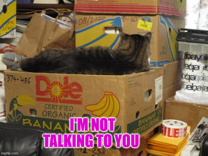 I'M NOT TALKING TO YOU | image tagged in on break,not talking | made w/ Imgflip meme maker