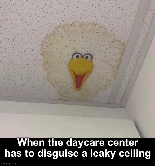 Stressin’  Me Street | When the daycare center has to disguise a leaky ceiling | image tagged in funny memes,sesame street,big bird | made w/ Imgflip meme maker