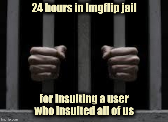 Jail | 24 hours in Imgflip jail for insulting a user who insulted all of us | image tagged in jail | made w/ Imgflip meme maker