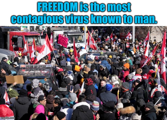 Canadians are standing up all over Canada. | FREEDOM is the most contagious virus known to man. | image tagged in freedom | made w/ Imgflip meme maker