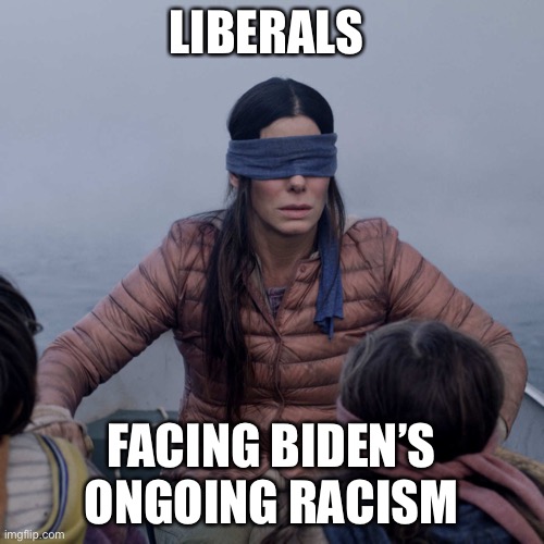 Once a racist always a racist | LIBERALS; FACING BIDEN’S ONGOING RACISM | image tagged in memes,bird box | made w/ Imgflip meme maker