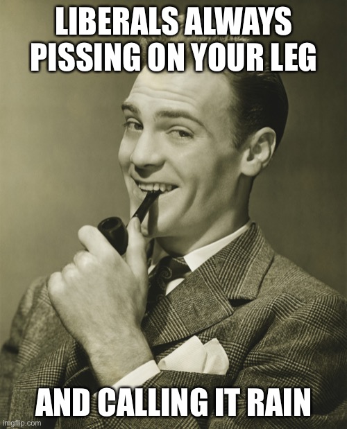 Smug | LIBERALS ALWAYS PISSING ON YOUR LEG AND CALLING IT RAIN | image tagged in smug | made w/ Imgflip meme maker