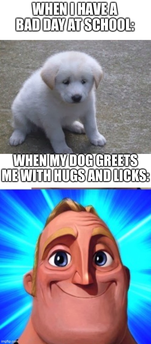 WHEN I HAVE A BAD DAY AT SCHOOL:; WHEN MY DOG GREETS ME WITH HUGS AND LICKS: | image tagged in sad sad doggo ',blank white template,mr incredible becoming canny | made w/ Imgflip meme maker