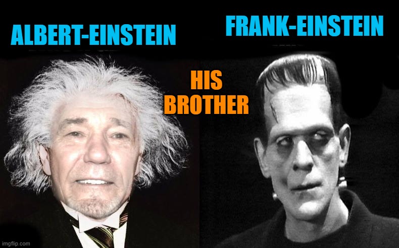 ALBERT-EINSTEIN FRANK-EINSTEIN HIS BROTHER | made w/ Imgflip meme maker