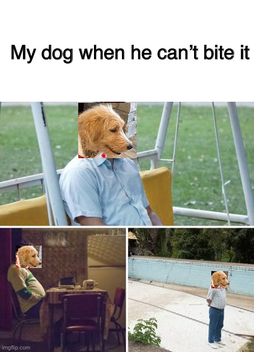 But I wanna bite it | My dog when he can’t bite it | image tagged in memes,sad pablo escobar,dog | made w/ Imgflip meme maker