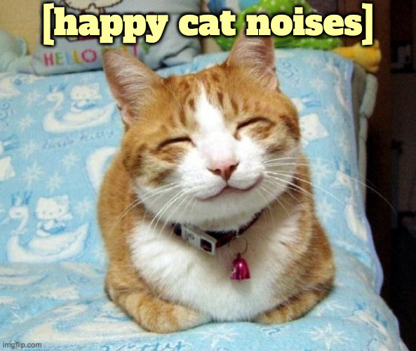 Cute Smiling Cat | [happy cat noises] | image tagged in cute smiling cat | made w/ Imgflip meme maker