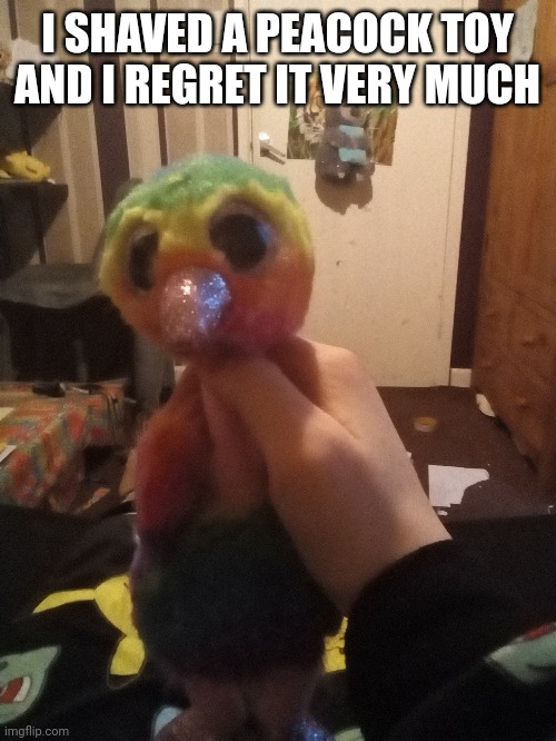 I SHAVED A PEACOCK TOY AND I REGRET IT VERY MUCH | made w/ Imgflip meme maker