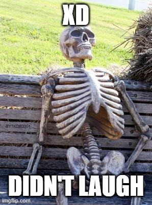 xd | XD; BY1KD#0001; DIDN'T LAUGH | image tagged in memes,waiting skeleton | made w/ Imgflip meme maker