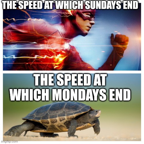 I hate Mondays |  THE SPEED AT WHICH SUNDAYS END; THE SPEED AT WHICH MONDAYS END | image tagged in fast vs slow,fast,funny,flash,funny memes,smart | made w/ Imgflip meme maker