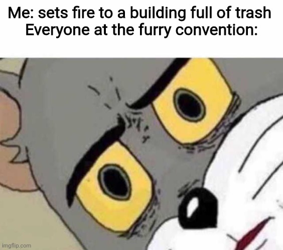 Tom Cat Unsettled Close up | Me: sets fire to a building full of trash 
Everyone at the furry convention: | image tagged in tom cat unsettled close up | made w/ Imgflip meme maker