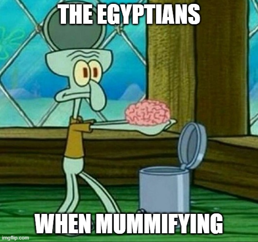 The Egyptians | THE EGYPTIANS; WHEN MUMMIFYING | image tagged in egypt,mummy,memes | made w/ Imgflip meme maker