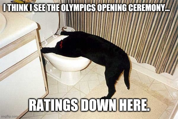 It's in the toilet. | I THINK I SEE THE OLYMPICS OPENING CEREMONY... RATINGS DOWN HERE. | image tagged in dog with head in toilet | made w/ Imgflip meme maker