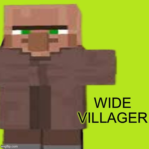 Hmm | WIDE VILLAGER | image tagged in minecraft,minecraft villagers,oh wow are you actually reading these tags | made w/ Imgflip meme maker