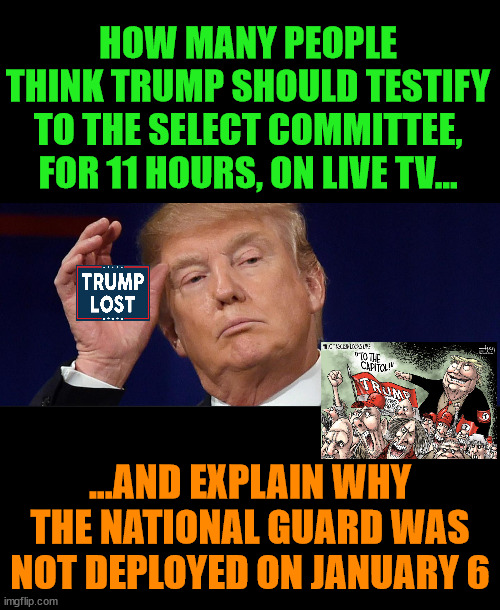 ONLY the POTUS is responsible for calling the DC Guard.  NOT Pelosi. | HOW MANY PEOPLE THINK TRUMP SHOULD TESTIFY TO THE SELECT COMMITTEE, FOR 11 HOURS, ON LIVE TV... ...AND EXPLAIN WHY THE NATIONAL GUARD WAS NOT DEPLOYED ON JANUARY 6 | image tagged in trump lost,insurrection,authoritarianism,traitor,j4j6 | made w/ Imgflip meme maker