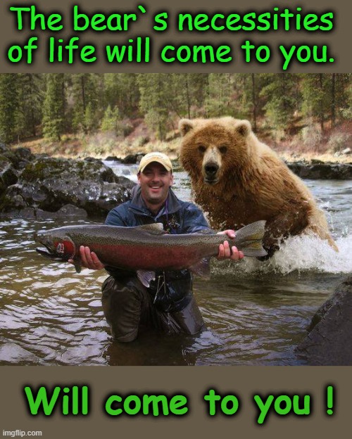 Bare necessities | The bear`s necessities 
of life will come to you. Will come to you ! | image tagged in gone fishing | made w/ Imgflip meme maker