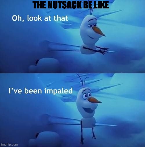 I've been impaled | THE NUTSACK BE LIKE | image tagged in i've been impaled | made w/ Imgflip meme maker