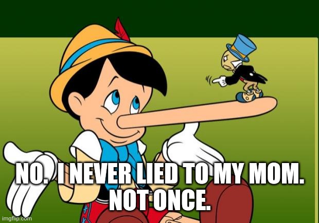 Liar | NO.  I NEVER LIED TO MY MOM.
NOT ONCE. | image tagged in liar | made w/ Imgflip meme maker