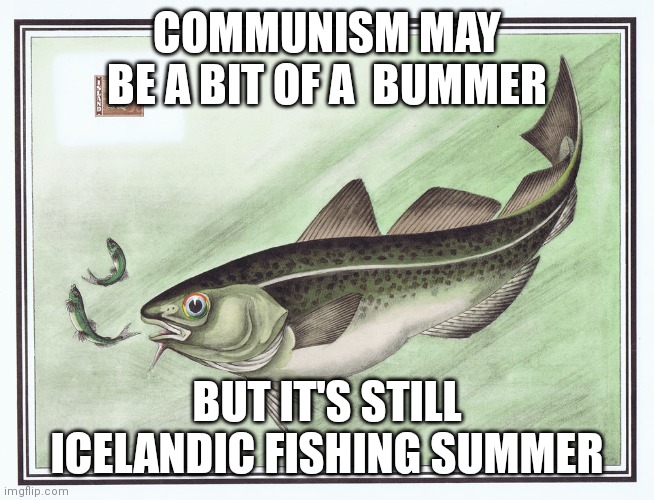 COMMUNISM MAY BE A BIT OF A  BUMMER; BUT IT'S STILL ICELANDIC FISHING SUMMER | made w/ Imgflip meme maker