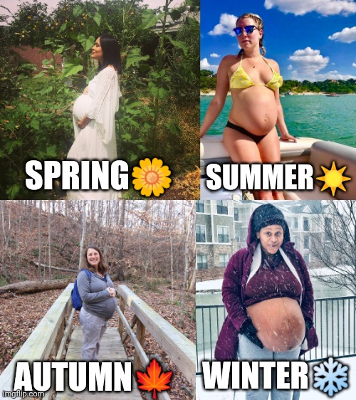 4 Seasons of Pregnancy | SPRING🌼; SUMMER☀; WINTER❄; AUTUMN🍁 | image tagged in pregnancy,seasons,winter,summer,autumn,spring | made w/ Imgflip meme maker