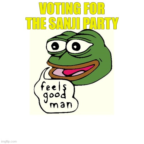 vote for sanji | VOTING FOR THE SANJI PARTY | image tagged in feels good man,the sanji party,fidelsmooker | made w/ Imgflip meme maker