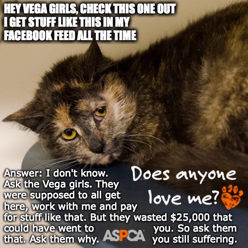 What the Vega girls not getting here cost charity, ASPCA edition | HEY VEGA GIRLS, CHECK THIS ONE OUT
I GET STUFF LIKE THIS IN MY
FACEBOOK FEED ALL THE TIME; Answer: I don't know.
Ask the Vega girls. They
were supposed to all get
here, work with me and pay
for stuff like that. But they wasted $25,000 that
could have went to                  you. So ask them
that. Ask them why.                you still suffering. | image tagged in aspca,charity,cats,dogs,facebook,scammers | made w/ Imgflip meme maker