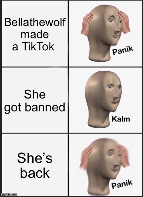 Panik Kalm Panik | Bellathewolf made a TikTok; She got banned; She’s back | image tagged in memes,panik kalm panik | made w/ Imgflip meme maker