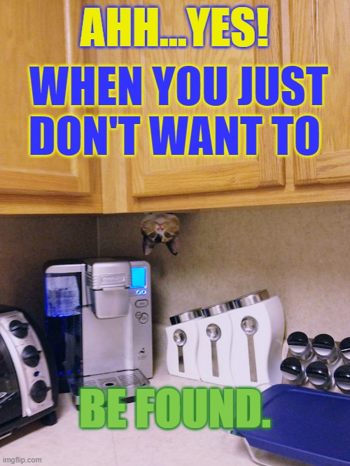 AHH...YES! WHEN YOU JUST DON'T WANT TO BE FOUND. | made w/ Imgflip meme maker