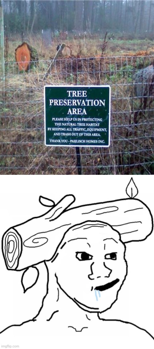 Tree preservation fail | image tagged in brainlet tree,trees,tree,you had one job,memes,fails | made w/ Imgflip meme maker
