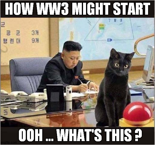 Missiles Away ! | HOW WW3 MIGHT START; OOH ... WHAT'S THIS ? | image tagged in fun,kim jong un,cats,nuclear button | made w/ Imgflip meme maker
