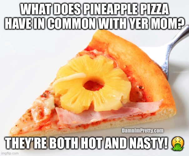 Pineapple Pizza is like yer mom | WHAT DOES PINEAPPLE PIZZA HAVE IN COMMON WITH YER MOM? THEY’RE BOTH HOT AND NASTY! 🤮; DamnImPretty.com | image tagged in pineapplepizza,yermom,gross | made w/ Imgflip meme maker
